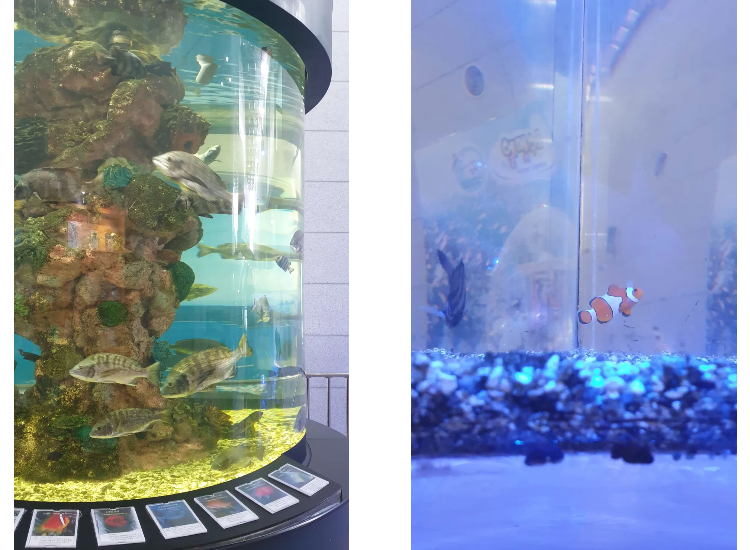 통영수산과학관
